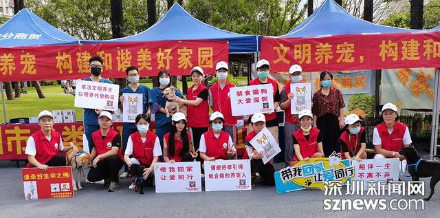 深圳狗狗网站 给狗狗找个家 | 深圳犬类管理协会公益活动让文明养犬与你我同行