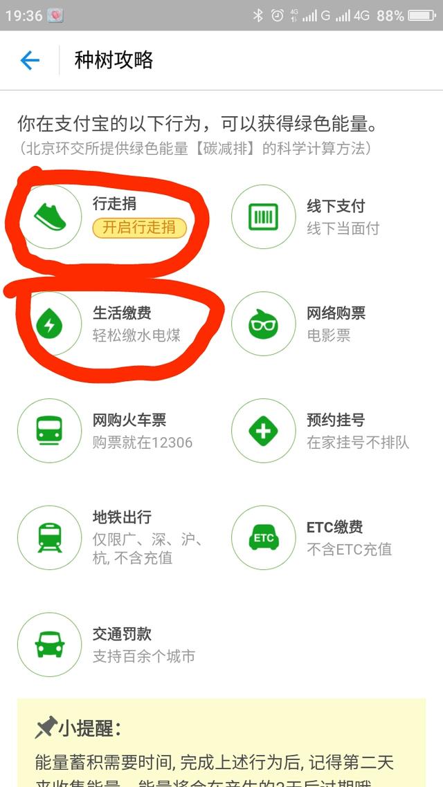 蚂蚁森林怎么长大(教你一招：支付宝蚂蚁森林大树快速养成攻略！)
