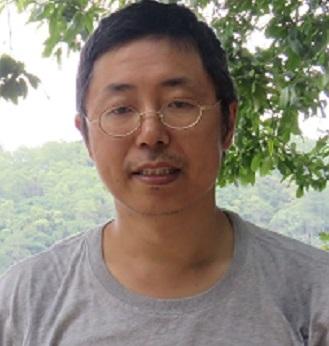马斯格雷夫和罗斯托的经济发展理论(如何理解有为政府的基础理论——田国强和林毅夫争论思考之一)
