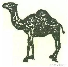 美国骆驼商标(商标里那么多骆驼，你认识哪一只？)