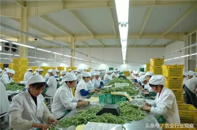 农产品加工项目大全(6大农产品加工项目隐藏巨大财富！你还在等在什么……)