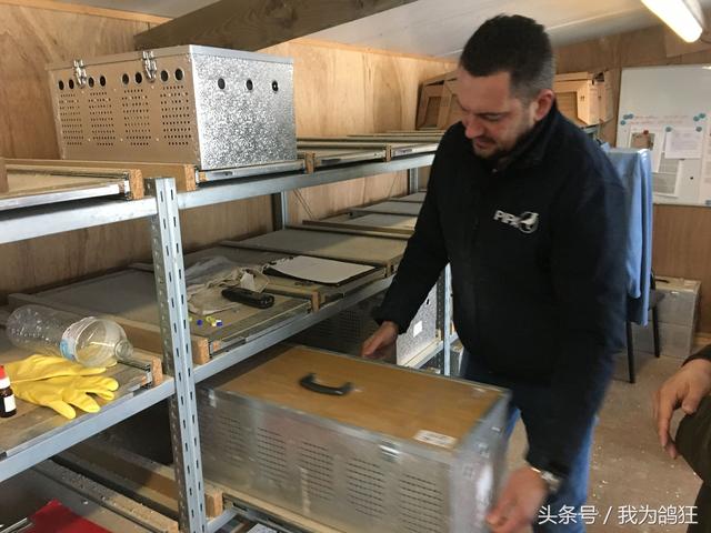 在线拍卖信鸽信息网(探秘世界上最大赛鸽拍卖网站PIPA网的检验检疫流程)