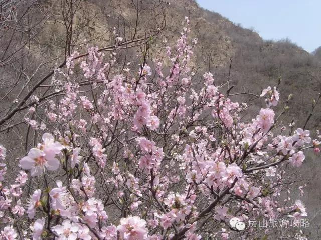 网聚房山(房山“小西藏”里藏着这样一个村落 蒲洼乡芦子水民俗村)