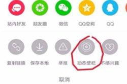 动态壁纸怎么设置成锁屏屏幕(抖音视频怎么设置成手机屏保 抖音动态壁纸设置方法)
