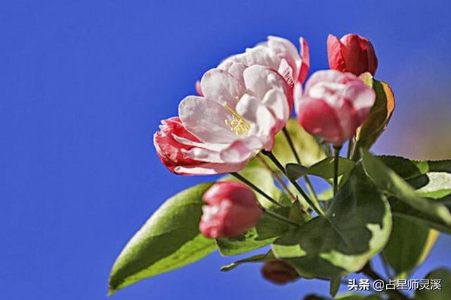 2021年属蛇运势李居明(2021下半年衰运走好运来，哪些星座不缺赚钱机会？)