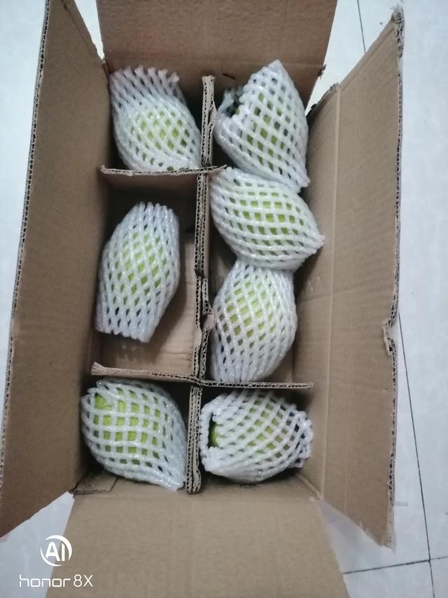 拼多多果园小狗怎么领(说说在各app上种树领水果的那些事)
