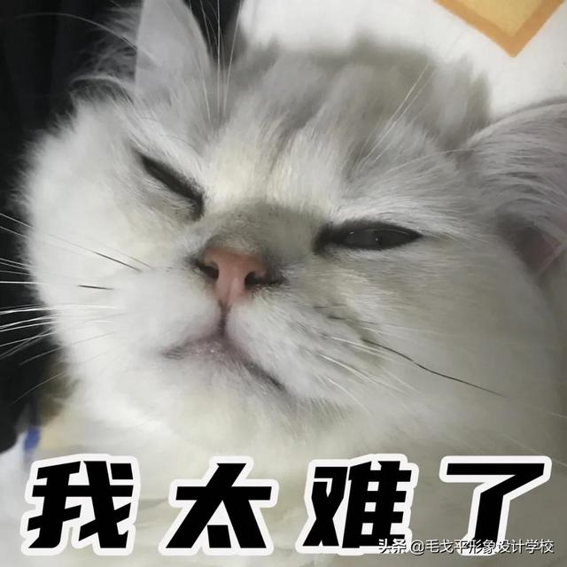 初学化妆需要哪些东西淡妆(纯干货│适合化妆小白的最全通勤淡妆攻略，快收藏)