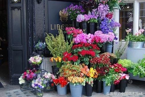 花店进货渠道(值得收藏：花店的进货渠道怎样选择)