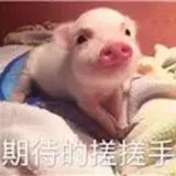什么面膜最好用了(30款好用面膜全推荐！值得收藏！)