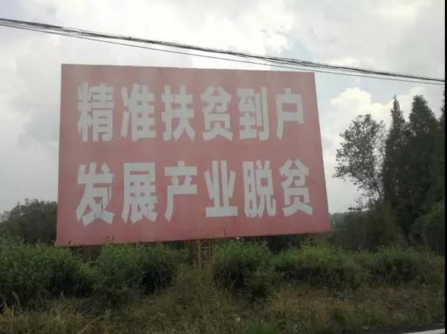 百度技术沙龙 王光远(买箱水果吧，消费扶贫就这么简单！美好商业记者探访雅安飞水村)