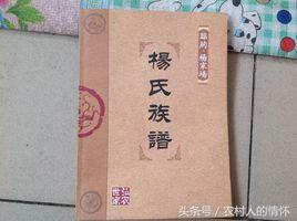 铁血社区论坛远征金满:杨氏族谱字辈总汇
