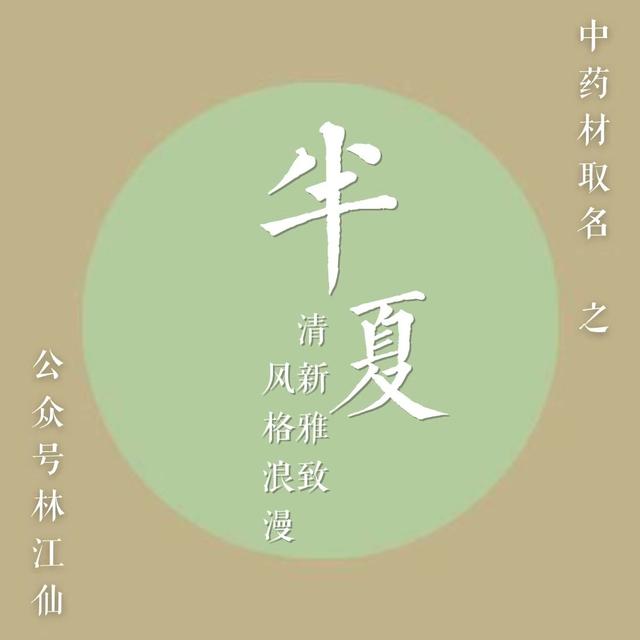 文元中药别名(适合用于起名的中药材名字)