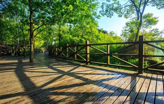 表达收获满满的句子精神(值得品读的正能量句子：收获生活的阅历，在平淡宁静里释放美好)