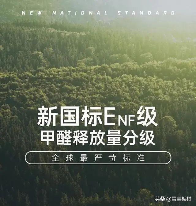 国际板材品牌排行榜(板材十大品牌丨新国标ENF级丨全球最严苛标准)