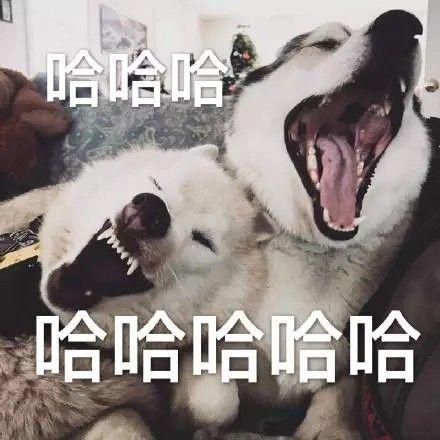 下午茶朋友圈配文沙雕(越看越上头的沙雕朋友圈文案)