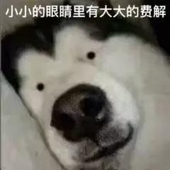 ofo押金变成返钱余额(ofo 诈尸更新，退押金要靠购物返现，节操呢？)