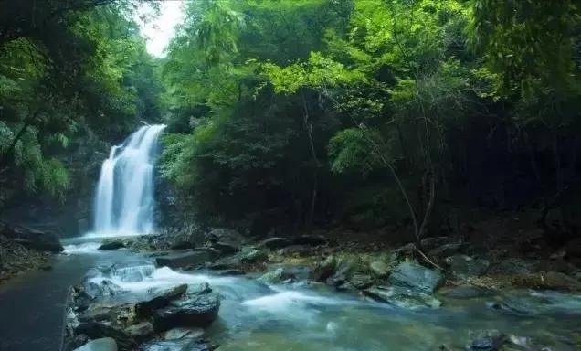 农村致富小项目大全(十个农村销量大、利润高的项目，很适合赶集出售，请收藏)