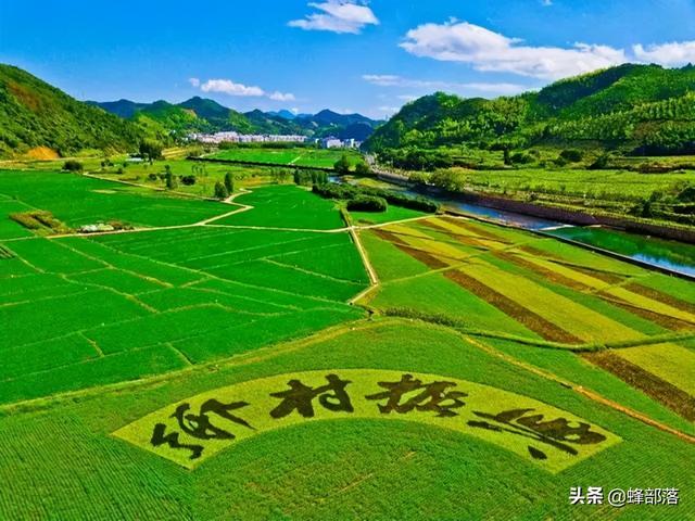 农村致富项目(​在农村这10个项目适合农民干，发展前景好，看看你适合哪个？)