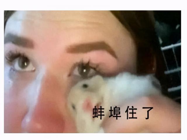 网游赚钱排行榜(腾讯代理都救不过来？全球收入第一网游，收入百亿国内却没人玩？)
