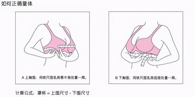 内衣尺码表参考表(不知道自己内衣穿什么尺码？)