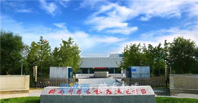 济南国际快递公司哪家好(自动化分拨快递亚洲哪家强？今年“双11”来先行区瞧瞧)