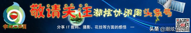 1024网络用词(常用的计算机术语及英文缩写)