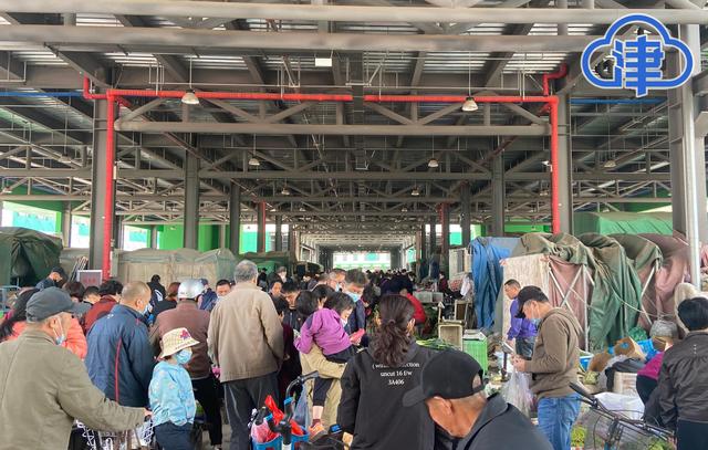 海产品批发市场在哪(何庄子批发市场人气足 海鲜水产售卖火爆)