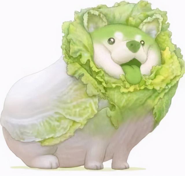 菜鸟的意思指的是什么(「菜」是怎么发展出「弱」的意思的？)