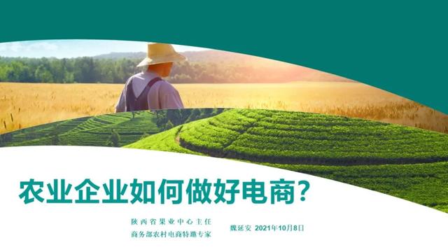 做服装电商怎么做(农业企业如何做好电商？22张PPT为你解读)