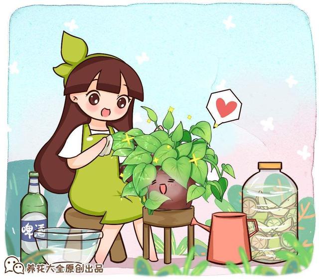 自制啤酒的详细工艺全过程(啤酒为什么叫啤酒？都是因为这种花，加入一点口感变好)