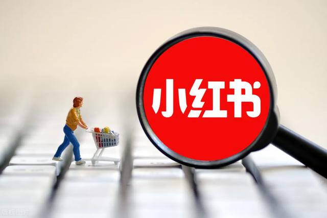 小红书1w粉丝报价(小红书粉丝上万一个月可以赚多少钱？)