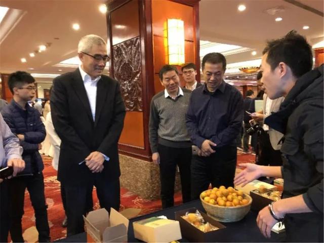 广西种什么树最赚钱农村(广西小伙返乡种金桔，带领“90”后“草根”团队，一年卖出4000万)