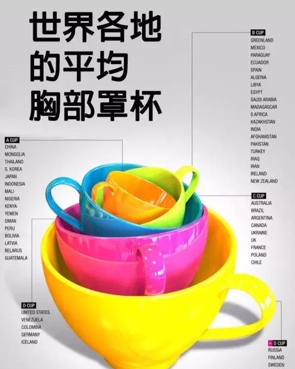 b罩杯多大 实图(为什么日本妹子的x动不动就E杯？)