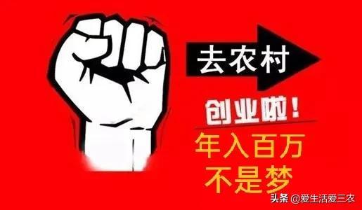 手机偏门暴利赚钱项目图片(这些偏门小生意，原来这么赚钱，现在加入还不晚！)