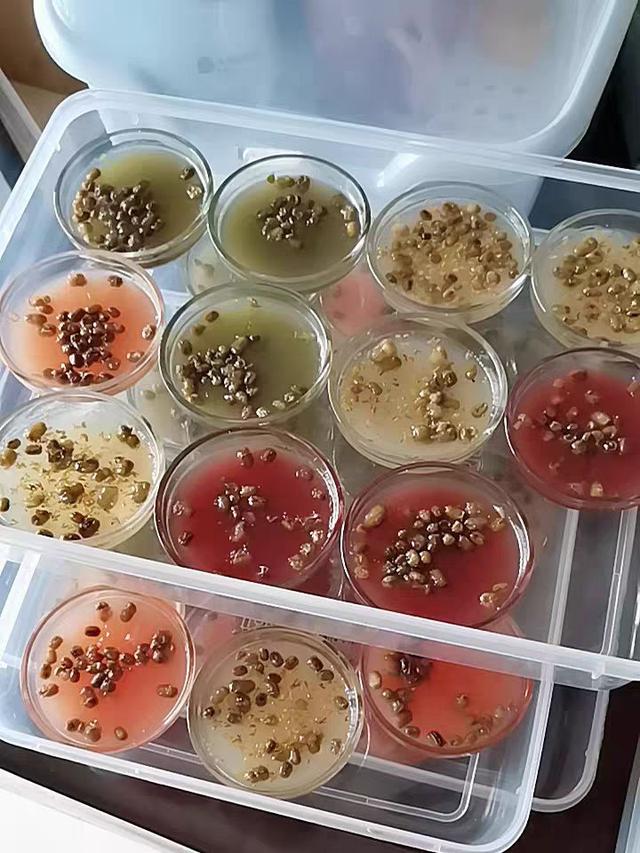 学校小吃卖什么最火摆摊(分享几款适合在学校附近摆摊的火爆小吃，日入几百不是问题)