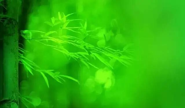 志在必得和势在必得(乒乓团体世界杯：日本志在必得，中国势在必得！不容错过的精彩！)