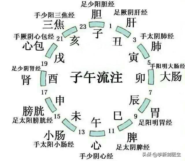 子午流注(子午流注浅议)