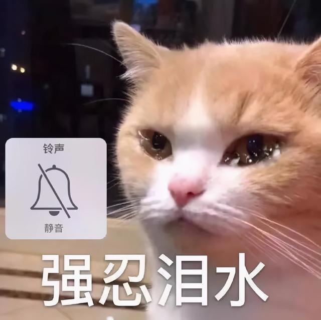 留学热门专业排名(重磅！出国留学怎么选专业？QS受欢迎的十大热门专业出炉)