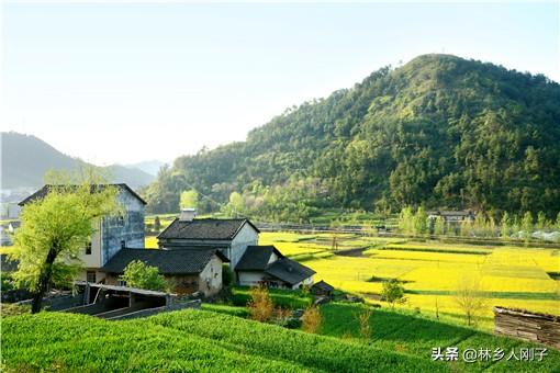 小型加工办厂创业项目(农村小型加工项目有哪些？推荐这三个项目)