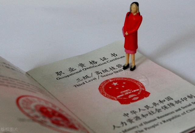 在家考什么证能挣钱(这几种专业技能证书，考取后即可涨薪，还可以申请国家补贴)