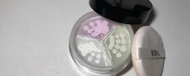 散粉的正确使用方法步骤图 散粉怎么定妆(散粉的正确使用方法 不脱妆的秘籍)