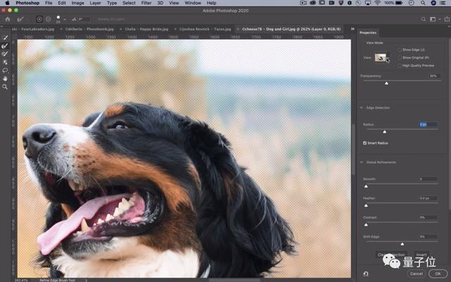 ai快速抠图(一键抠出细密发丝，这是Adobe最新AI抠图算法，即将上线Photoshop)