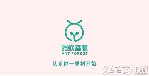 蚂蚁森林怎样让能量多能种树(蚂蚁森林怎样让能量多 蚂蚁森林获取刷绿色能量方法)