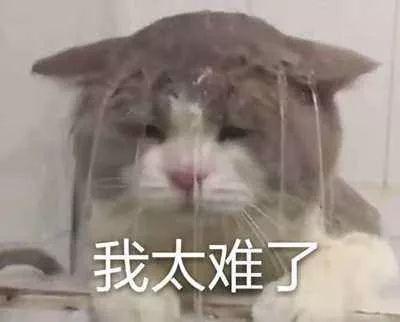 12315网上投诉平台(全新“12315”上线！扫一扫就能投诉举报)