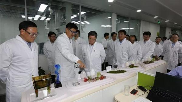 蓝星集团创始人(宁高宁董事长率两化管理团队调研中化国际、先正达中国)