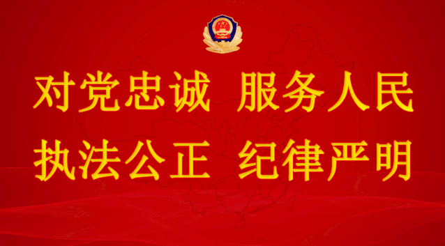 交通违章快速查询掌付宝(权威发布 |支付宝上可以查交通违法了！)