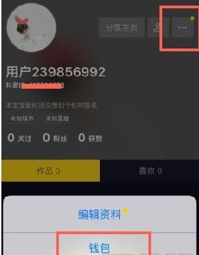 刷抖音怎么挣钱提现(抖音音浪怎么提现 抖音音浪怎么获得 抖音音浪可以换多少钱)
