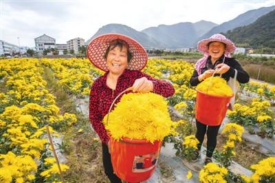 北京到涿鹿第一天早上顺丰最快多久能到(绿色“买买买”生活更健康)