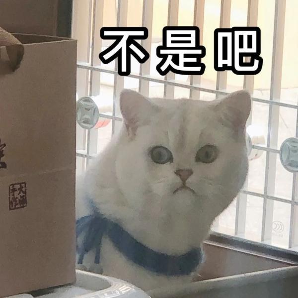 qq人工客服电话是多少(警方紧急提醒！请立即删除，青岛有人被骗20余万)
