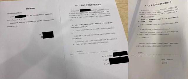 编程猫社区(招新困难，编程猫裁员缩减团队？)